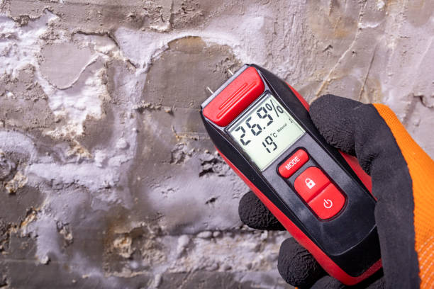Best Mold Remediation  in Amite City, LA